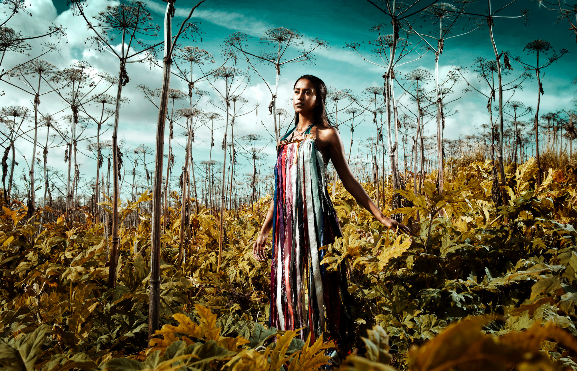 A person in a colorful dress standing in the middle of a field of giant hogweeds. The background is dominated by thin, tall giant hogweeds. The sky is blue with white clouds scattered across it. It is as if the person is in a natural oasis of color and greenery, where the dress contrasts with the surrounding nature.